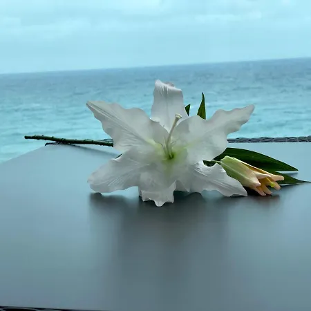 아파트 Hermoso Edificio Frente Al Mar Con Gran Terraza Y Hermosas Vistas 라스팔마스